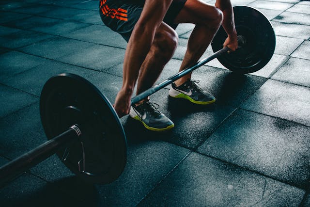 muscle building